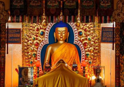 Dharamshala McLeodganj Serenity Tour