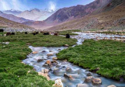 Jammu/katra Taxi Service