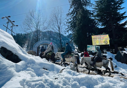 Manali Taxi Service