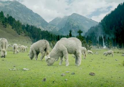Jammu Kashmir Grand Expedition