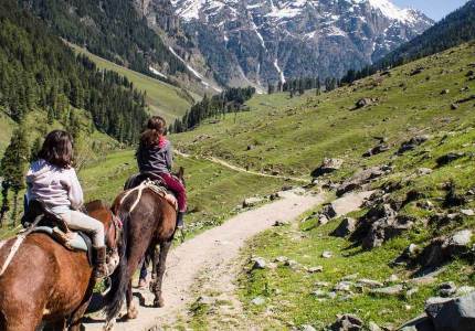 Kashmir Paradise Circuit Tour from Chandigarh