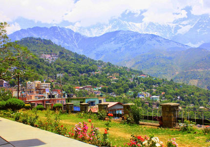 Shimla Taxi Service