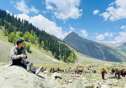 Best of Kashmir Explorer from Chandigarh