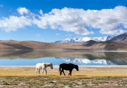 Leh Ladakh Valley & Passes Tour